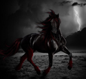 Dark Horse